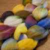 100g Hand Dyed Dorset Horn Wool Top for Handspinning or Felting - 'Autumn Walk"