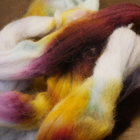 100g Hand Dyed Dorset Horn Wool Top for Handspinning or Felting - 'Brambles'